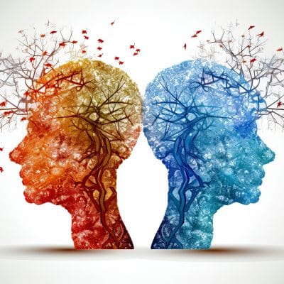Couples therapy training focused on relationship conflict and emotional dynamics